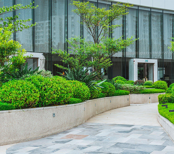 Best Landscaping in Hyderabad – Green Aura Outdoor Landscaping