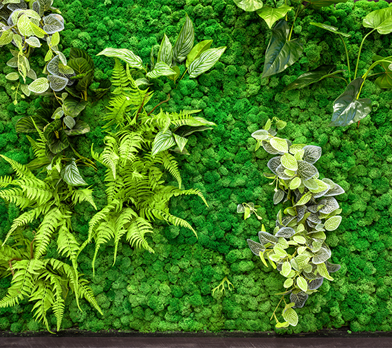 Best Landscaping in Hyderabad – Green Aura Live Moss Walls