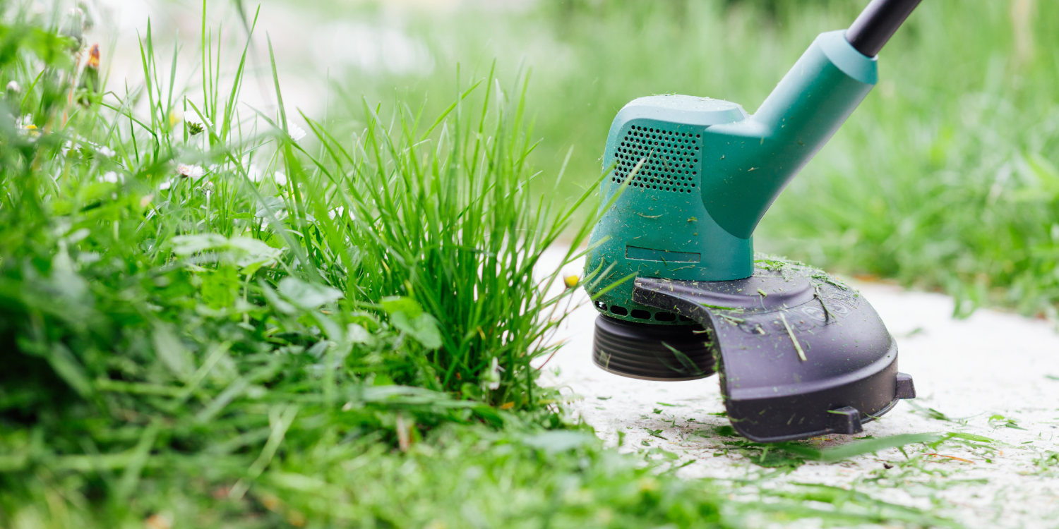 Summer Lawn Care Guide: Tips to Keep Your Lawn Green and Lush All Season Long