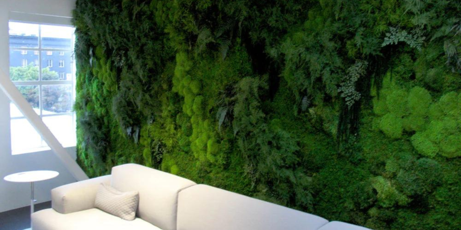 Bringing Nature Indoors: The Beauty and Benefits of Moss Walls